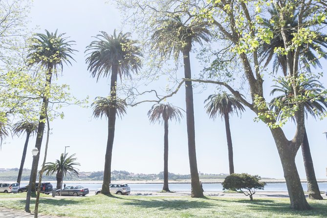 City Bike Rental in Porto - Additional Services and Accessibility