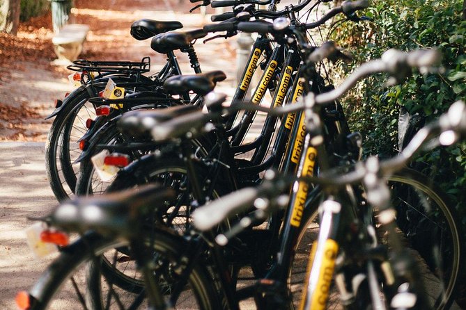 City Bike Rental With Phone Holder and Self Guided Tour - City Bike Rental Options