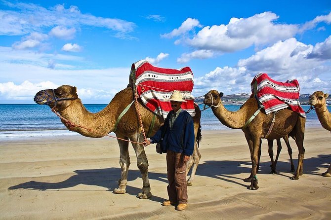 City Break Tangier for Cruisers - Questions and Price