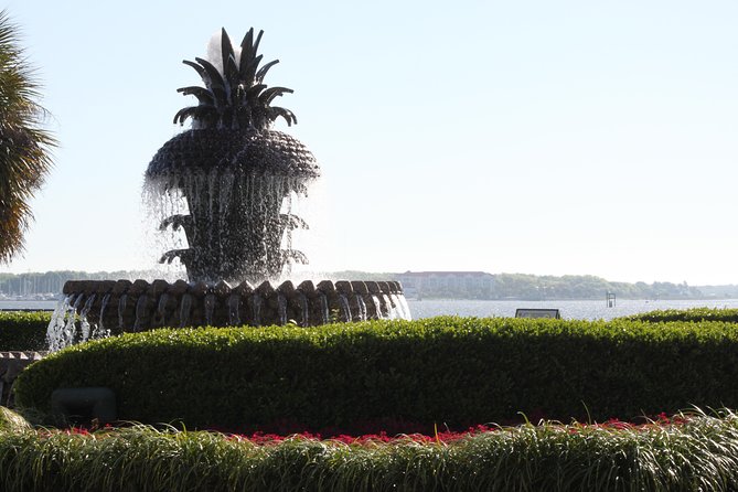 City Bus Tour With Charleston Museum Admission - Positive Feedback Highlights