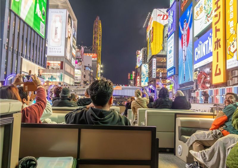City Cruise Experience in Osaka - Who will enjoy this Dotonbori cruise most?