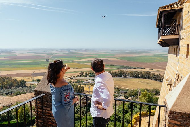 City Discovery: Carmona & Cordoba Private Day Trip - Overview