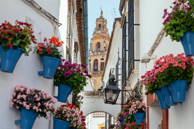 City Discovery: Carmona & Cordoba Private Day Trip - Personalized Experience