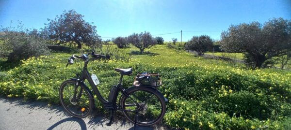 City E-Bike Tour - Albufeira West Beaches In Private! - Bicycle Riding Requirement