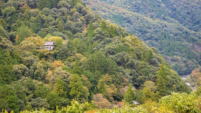 City Escape: Arashiyama Park Private Day Trip - Common Questions