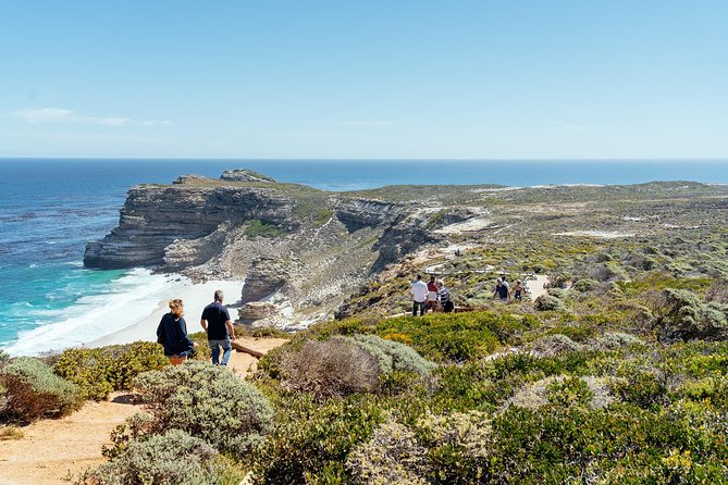 City Escape: Cape Peninsula Private Day Trip - Itinerary