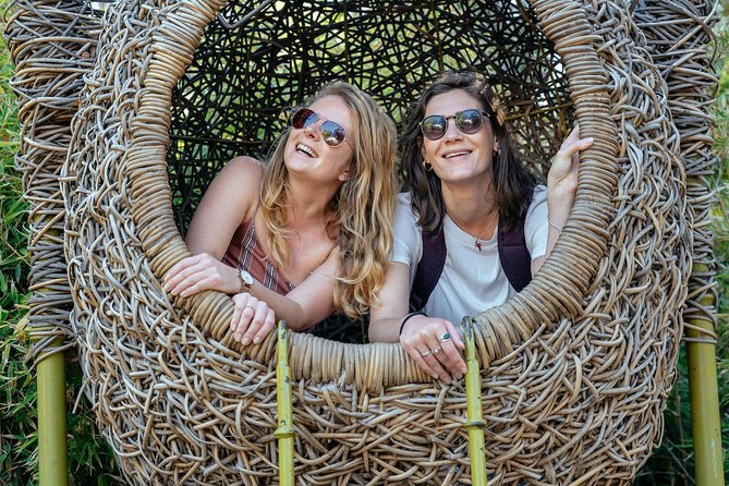 City Escape: Cape Town Classics Private Day Trip - Highlights of the Cape Town Classics Day Trip