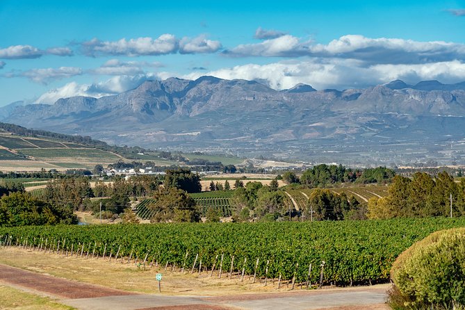 City Escape: Cape Town Classics Private Day Trip - Pricing and Booking Information for the Day Trip