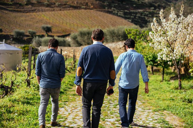 City Escape: Douro Valley Private Day Trip - Experience Highlights