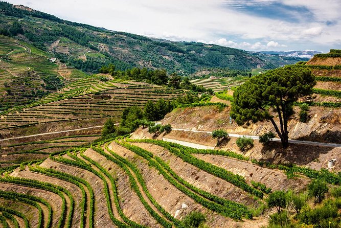 City Escape: Douro Valley Private Day Trip - Customer Support and Information