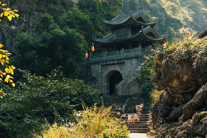 City Escape: Hoa Lu & Tam Coc Private Day Trip - Traveler Reviews and Booking Information