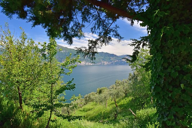 City Escape: Lake Garda Private Day Trip From Verona - Traveler Reviews