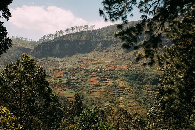 City Escape: Nuwara Eliya Private Day Trip - Common Questions