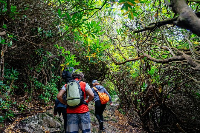 City Explorer: Howth Private Day Trip - Soak in the Breathtaking Views