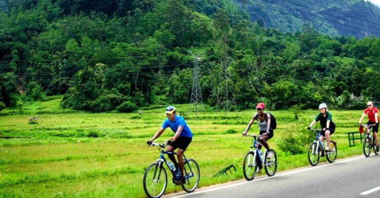 City & Fort Cycling Tour in Galle - Tour Details
