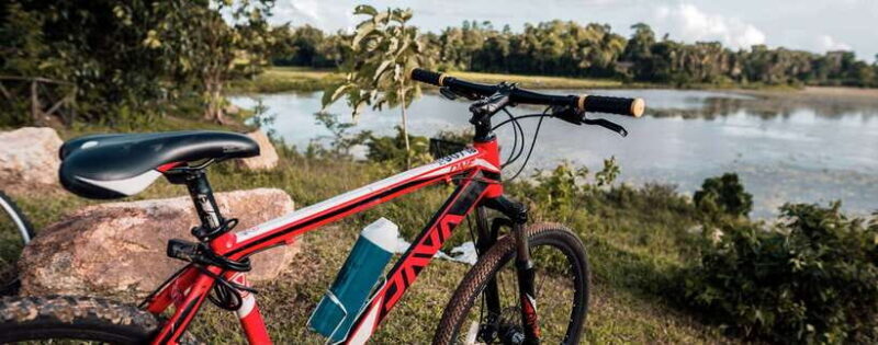 City & Fort Private Cycling Private tour in Galle - Final Thoughts: Is This Tour Right for You?