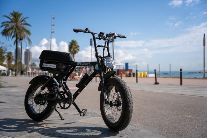 City Highlight Tour on a Luxury (electrical) Fatbike - Bike and Safety Information