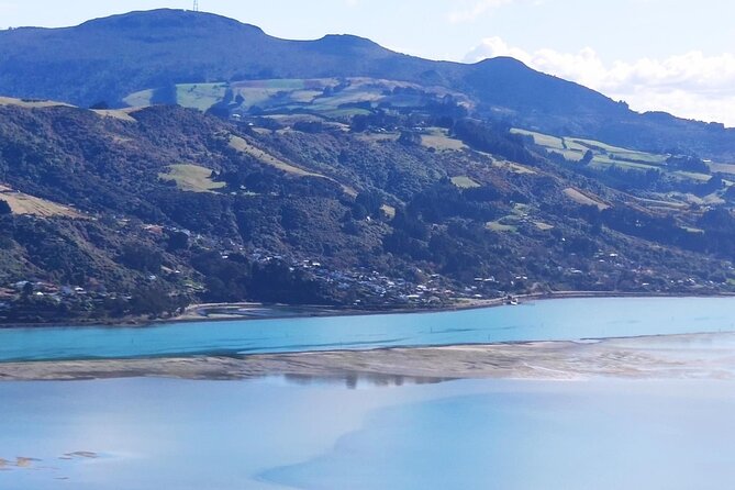 City Highlights, Larnach Castle & Peninsula Views - Otago Peninsula Exploration