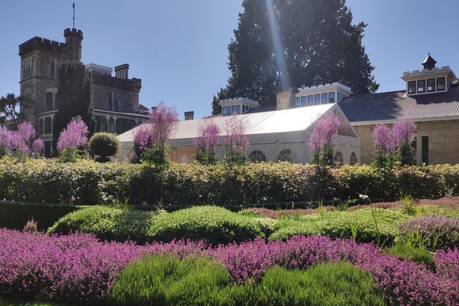 City Highlights, Larnach Castle & Peninsula Views - Cafe Lunch at Larnach Castle