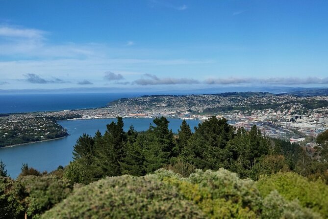 City Highlights, Larnach Castle & Peninsula Views - Logistics and Details