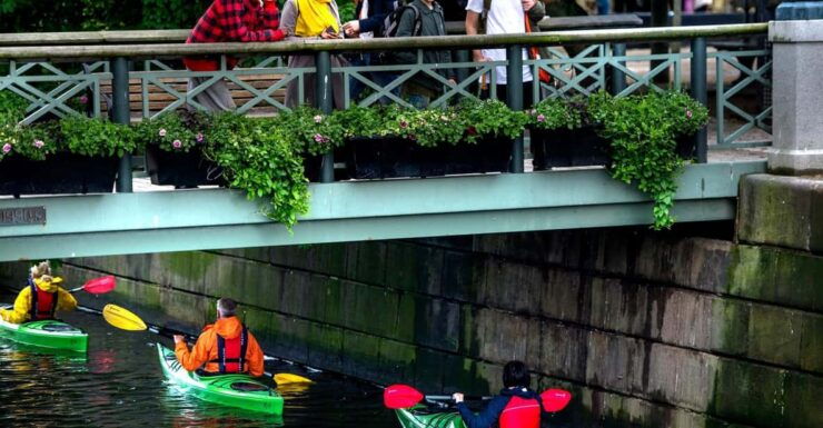 City Kayak Tour - Experience Highlights