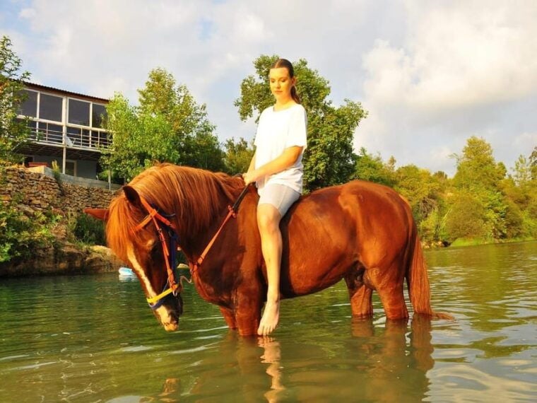 City of Alanya: Horse Riding Experience - The Sum Up