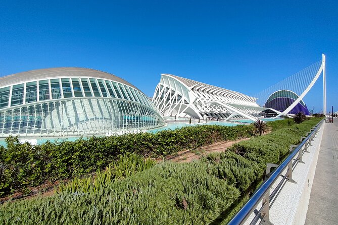 City of Arts and Sciences Bike Tour - Bike Rental and Equipment Included