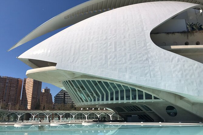 City of Arts and Sciences Private Bike Tour - The Sum Up