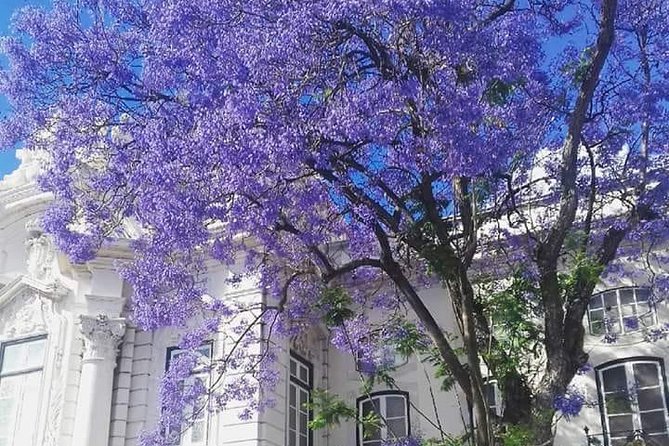 City of Neighborhoods Tour II by Tuk Tuk - Daily Availability