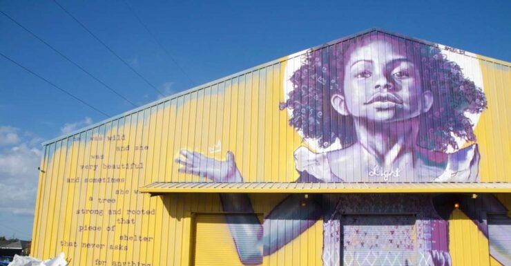 City of New Orleans and Katrina Recovery Tour - Tour Highlights