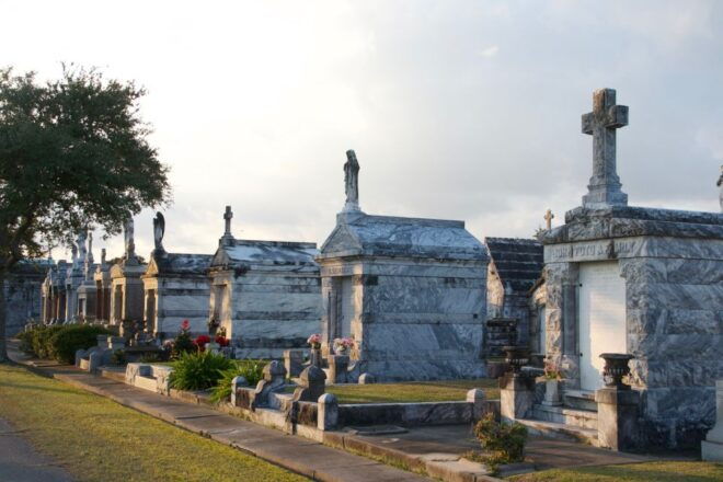 City of New Orleans and Katrina Recovery Tour - Positive Feedback From Customer Reviews