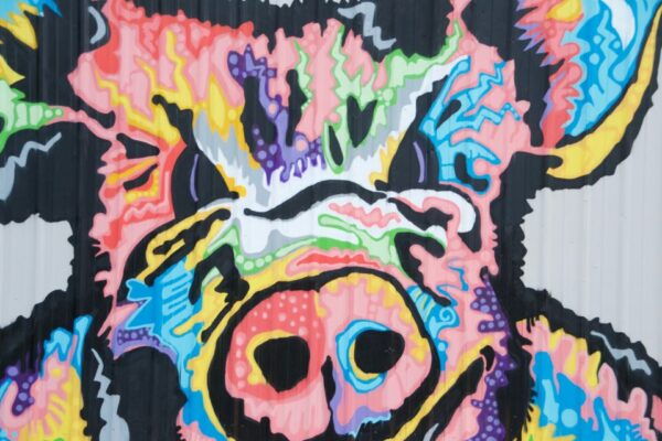 City of New Orleans and Katrina Recovery Tour - Contact Information for Future Visits