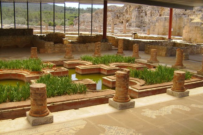 City of Students - Coimbra Private Tour From Lisbon - Cancellation Policy