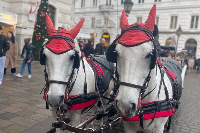 CITY QUEST VIENNA: Uncover the Secrets of This CITY! - Common Questions