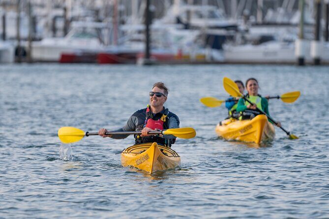 City Scenes Kayak Tour in Auckland - Explore the Waterfront - Good To Know