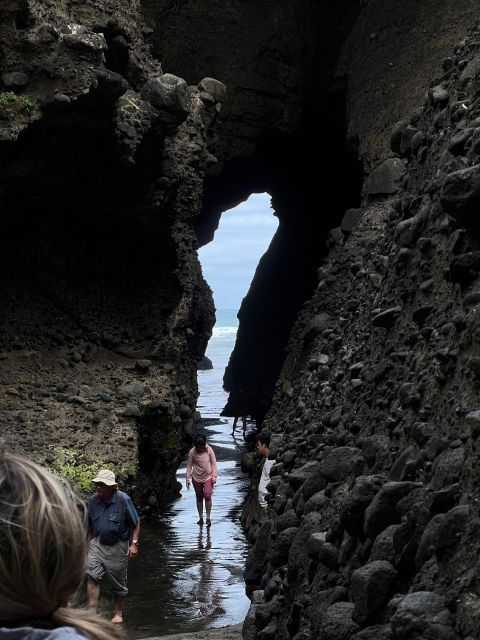 City Sightseeing and Explore Piha Beach - Highlights of Auckland Tour