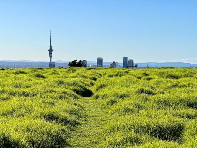 City Sightseeing and Explore Piha Beach - Exploring Piha Beach Activities