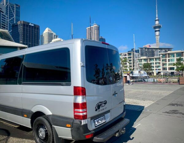 City Sightseeing and Explore Piha Beach - The Sum Up