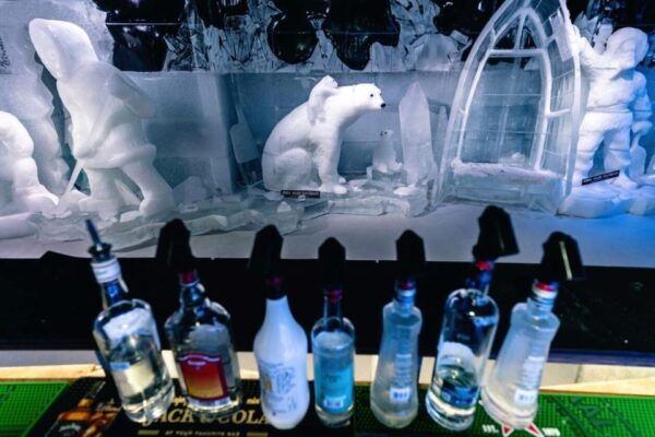 City Sightseeing Berlin: HOHO Bus - All Lines (A+B) & Icebar - Tips for Visitors