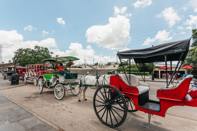 City Sightseeing New Orleans HOHO Bus Tour & Bookable Extras - Pricing and Value
