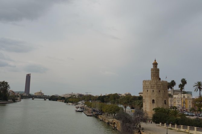 City Sightseeing Seville Hop-On Hop-Off Bus Tour - Feedback and Improvements