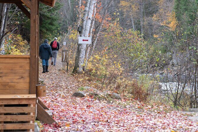 City tour and hiking to the Canyon and Waterfall in the Park - Considerations and Tips