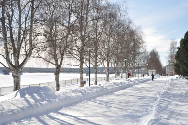 City Tour and Santa Claus Village Visit in Lapland - Good To Know