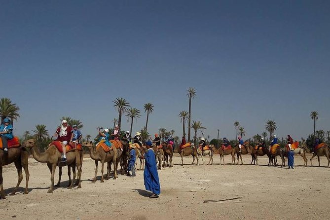 City Tour & Camel Ride - Additional Services