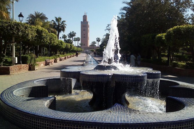 City Tour & Camel Ride - Important Considerations