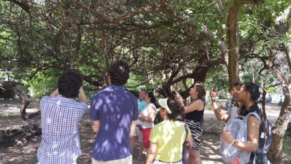 City Tour Cartagena & Highlights - Hotel Pickup Information