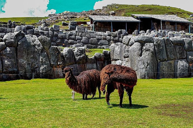City Tour Cusco - Traveler Photos and Reviews