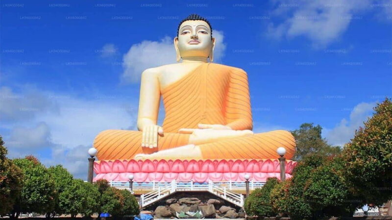 City Tour: Discover Aluthgama with Thrilling Adventures - Good To Know