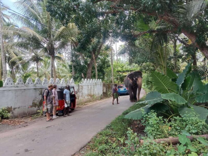 City Tour: Discover Aluthgama with Thrilling Adventures - FAQs