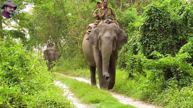 City Tour: Discover Aluthgama with Thrilling Adventures - The Heart of the Tour: A Step-by-Step Breakdown